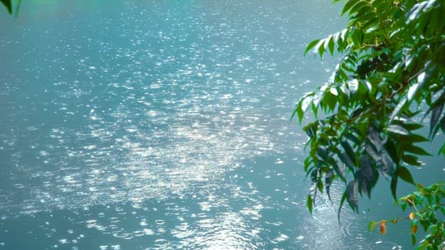 Raindrops creating ripples on a calm lake