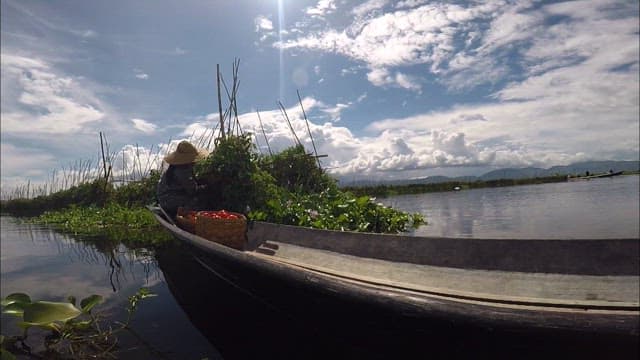 Aquafarming scene on Inle Lake on a sunny day