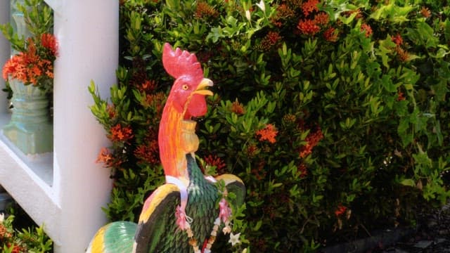 Decorative rooster statue beside lush green bushes