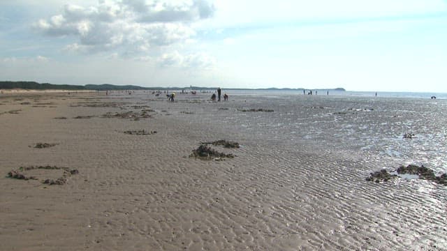 People Visiting a Mudflat on a Sunny day