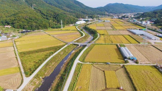 Expansive farmland with a winding river