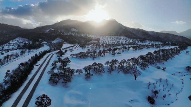 Winter Landscape with Snowy Pine Trees at Dusk