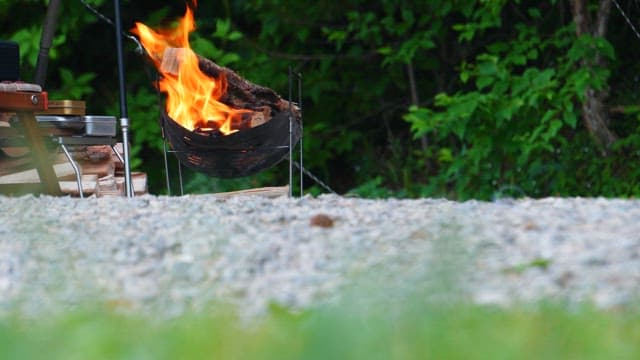 Firewood burning in a fire pit in a forested campsite