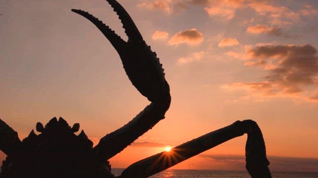 Sunset behind the silhouette of the crab sculpture