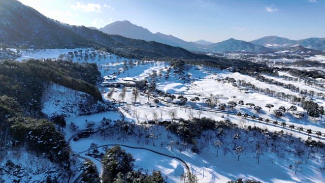 Snow-covered Landscape with Pines and Mountains