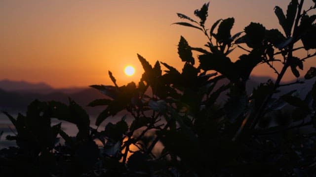 Sunset over the Mudflats of Suncheon 