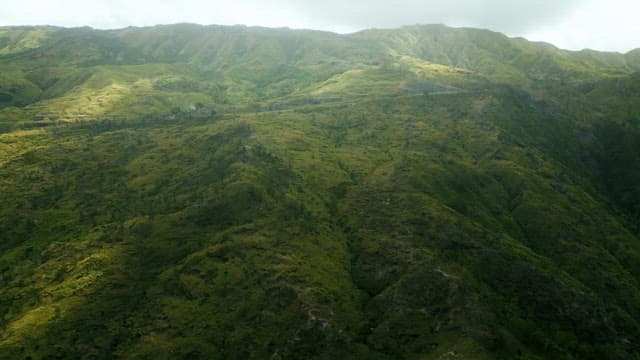 Tranquil Mountains and Hills Full of Lush Greenery