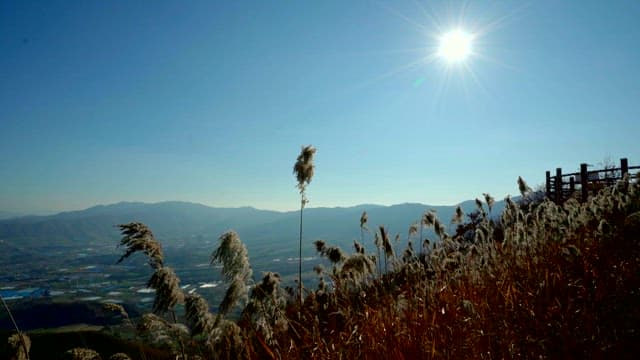 Basin Beyond the Hill where Reeds Swaying