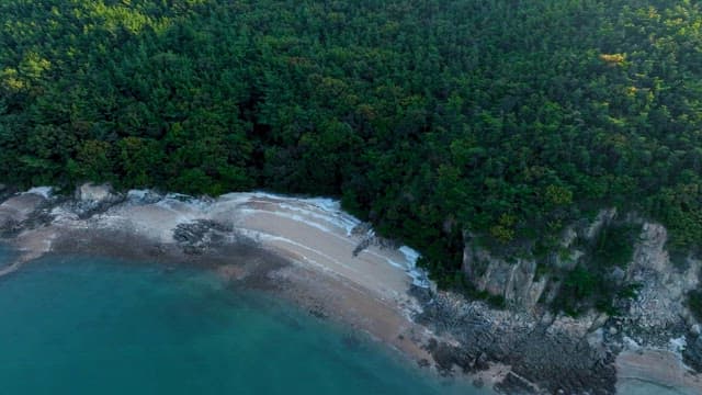 Aerial view of a secluded beach and forest