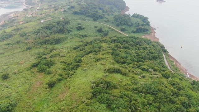 Lush green hills by the coastline