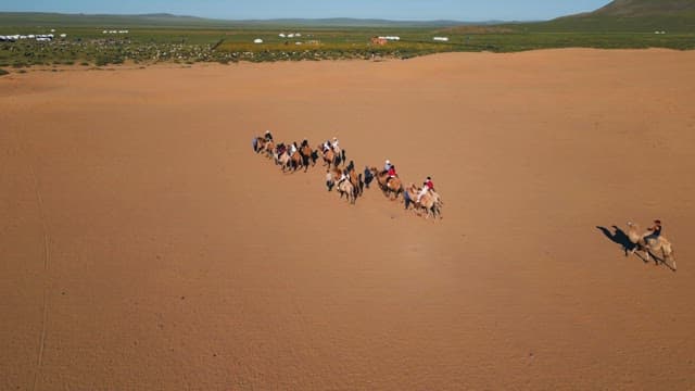 Camel procession crossing a vast desert