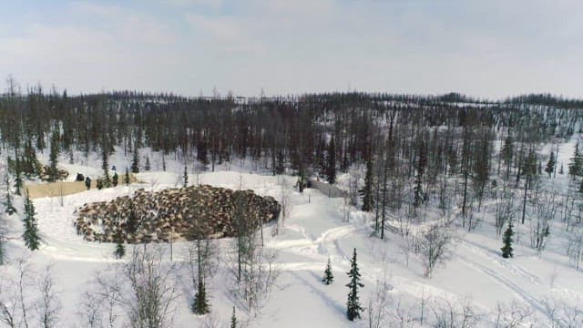 Aerial View of Reindeer Herding in Snowy Forest