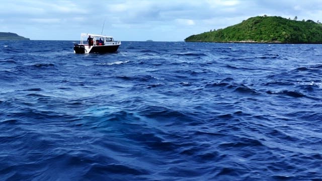 Humpback whale appears near the sea with boat