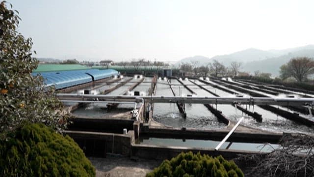 Fish Farm in a Rural Landscape