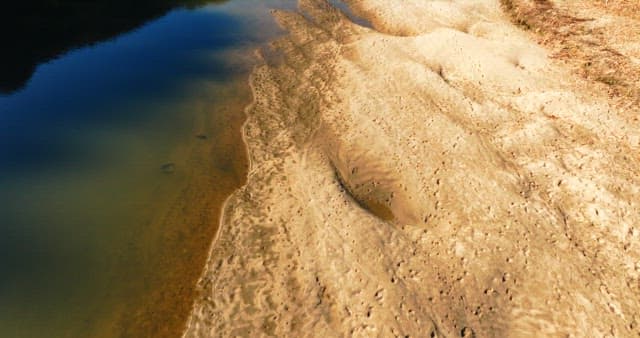 Serene Riverbank on a Sunny Day