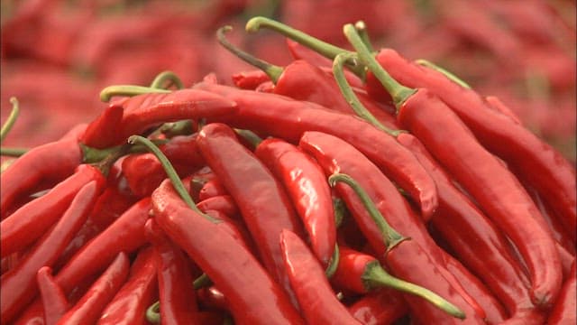 Harvested peppers boasting a vivid red color
