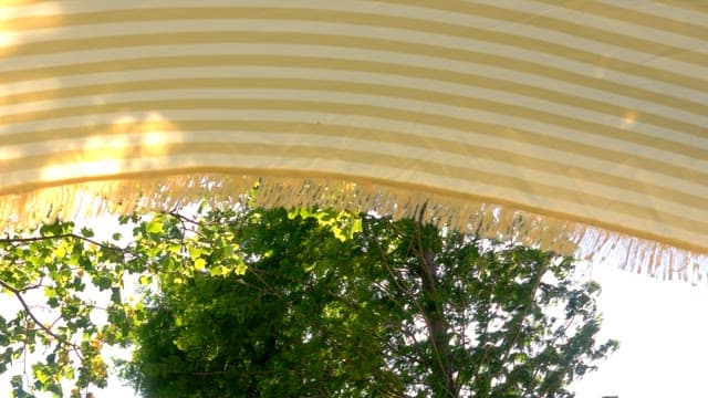 Sunny striped canopy and green trees