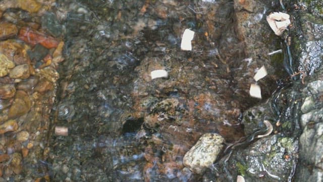 Clear stream flowing over rocks