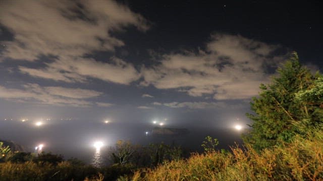 Nighttime Coastline View with Bright Lights