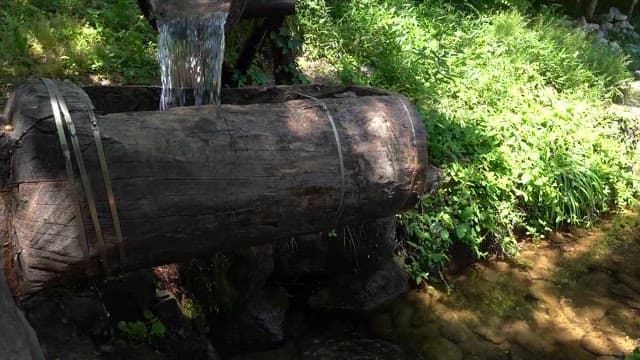 Traditional Watermill in a Lush Forest