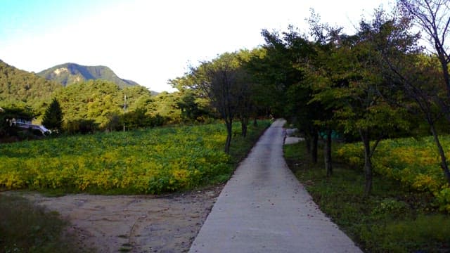 Farmland spread out on both sides of the road