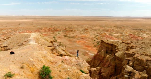 Person standing on a desert cliff