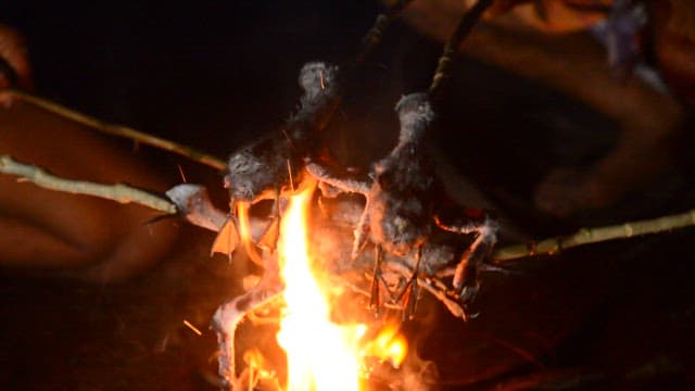 Prepared birds being roasted over an open fire