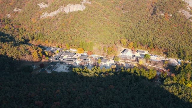 Temple surrounded by maple trees