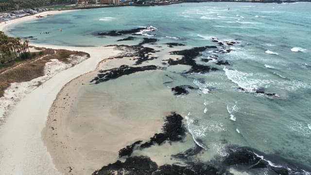Serene beach with waves and palm trees