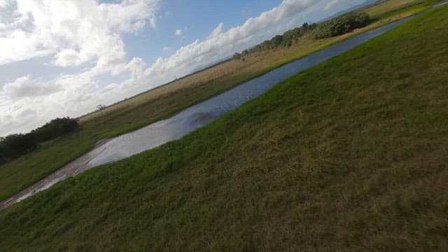 Wide open pasture under a sunny sky