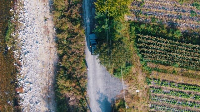 Car Traveling by Fields
