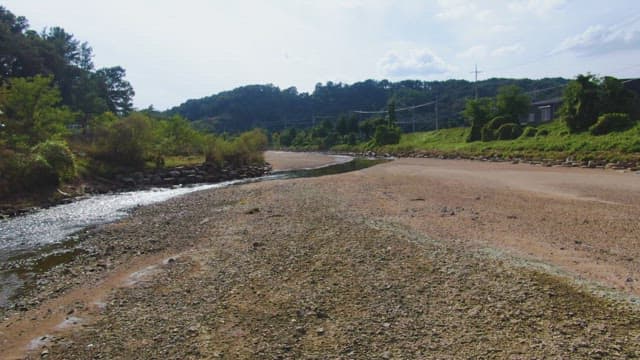 Serene river flowing through farmland