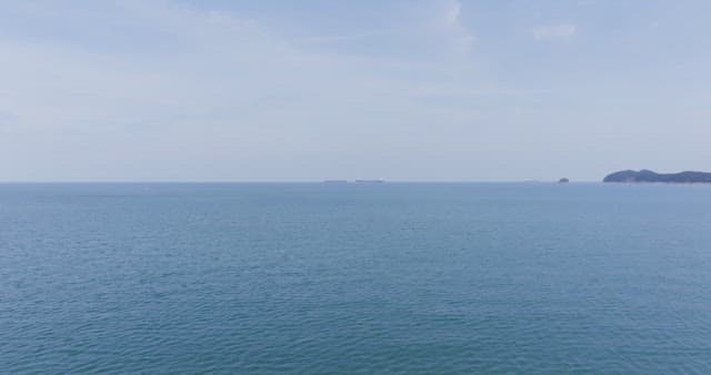 Serene beach with distant ships