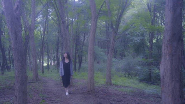 Woman walking in a serene forest with sunlight filtering through the trees