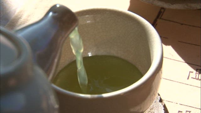 Pouring Green Color Tea Into a Cup on a Sunny Day