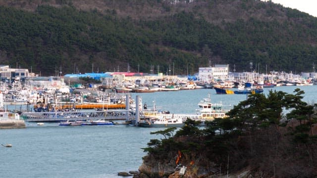 Scenery of a port town surrounded by hills