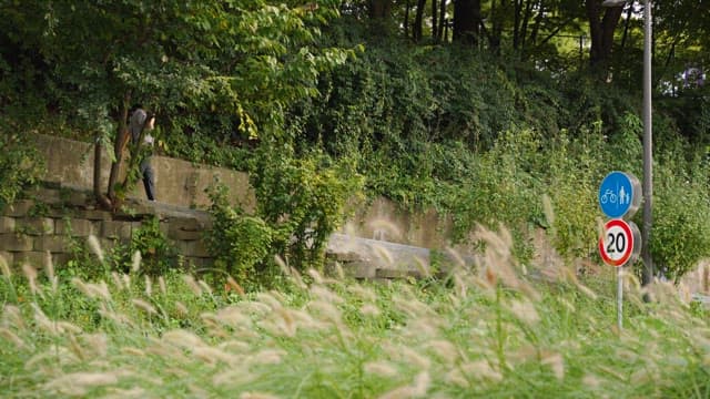 People walking along a path in a green park