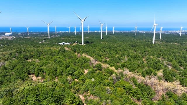 Wind turbines over a lush green forest