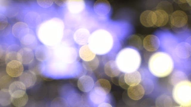 Christmas Lights Decorating the Tree