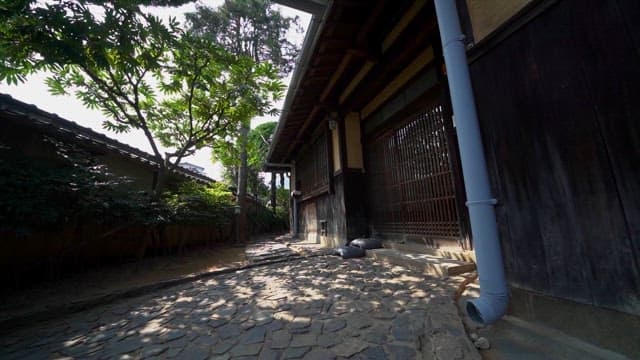 Traditional Japanese House with Sunlit
