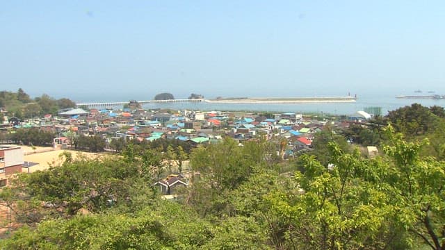 Coastal Village with Greenery and Buildings