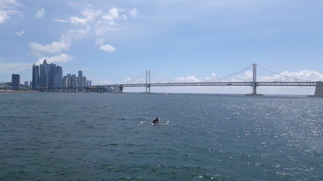 Kayakers paddling on the sea by the bridge in a sunny city