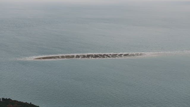 White Sandbank in the Middle of the Sea