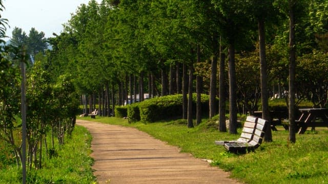 Person resting on a bench in a quiet park walk