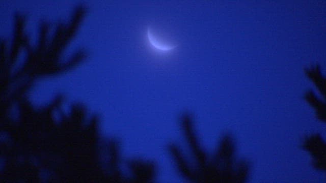 Crescent Moon Over Silhouetted Trees at Dusk