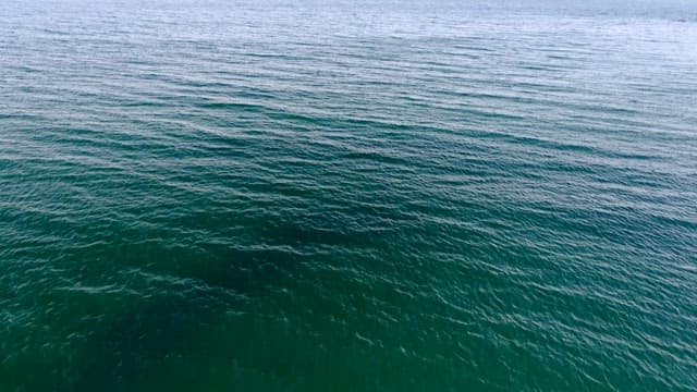 Serene View of a Calm Ocean