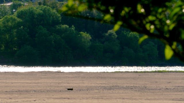 Calm afternoon by a serene river with greenery