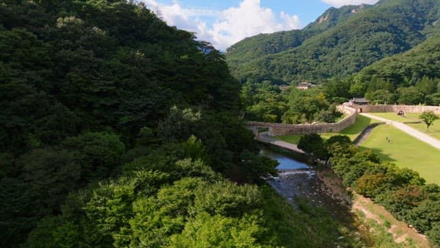 Scenic view of lush green trees