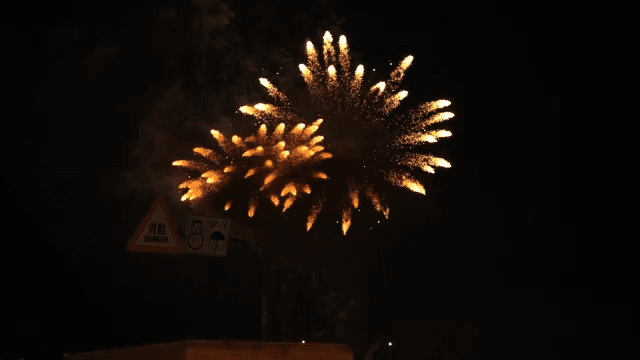 Fireworks lighting up the night sky