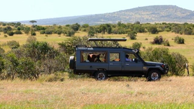 Observing wildlife from a safari vehicle